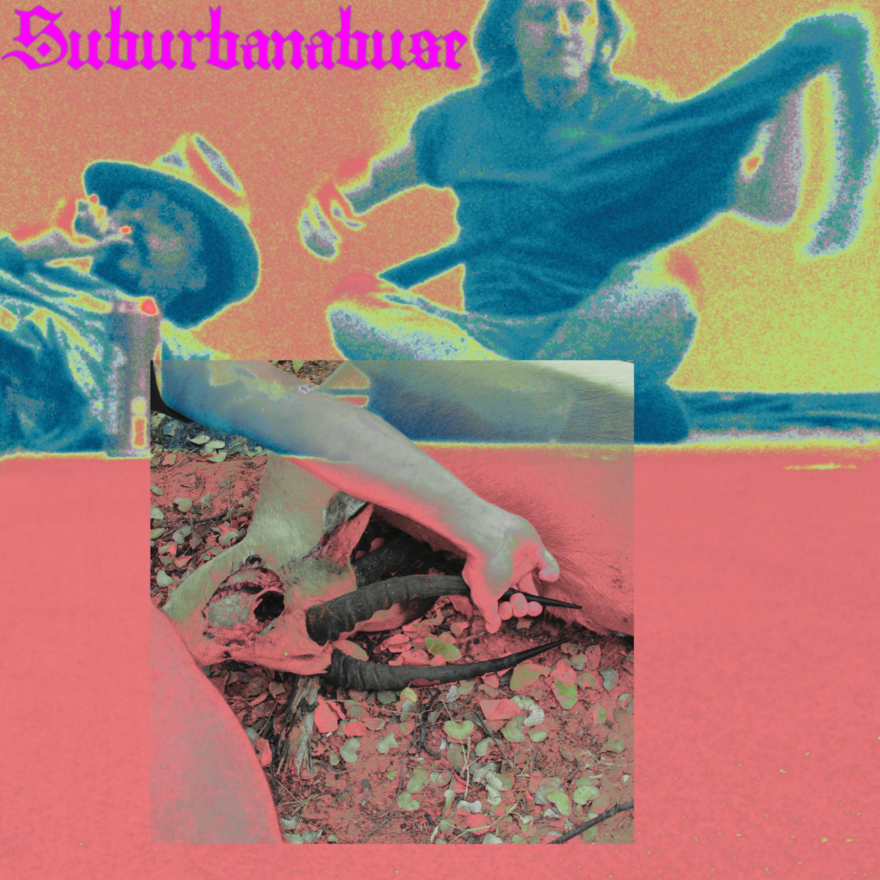 Touch Shiva Calm Down Dogs Dark White World