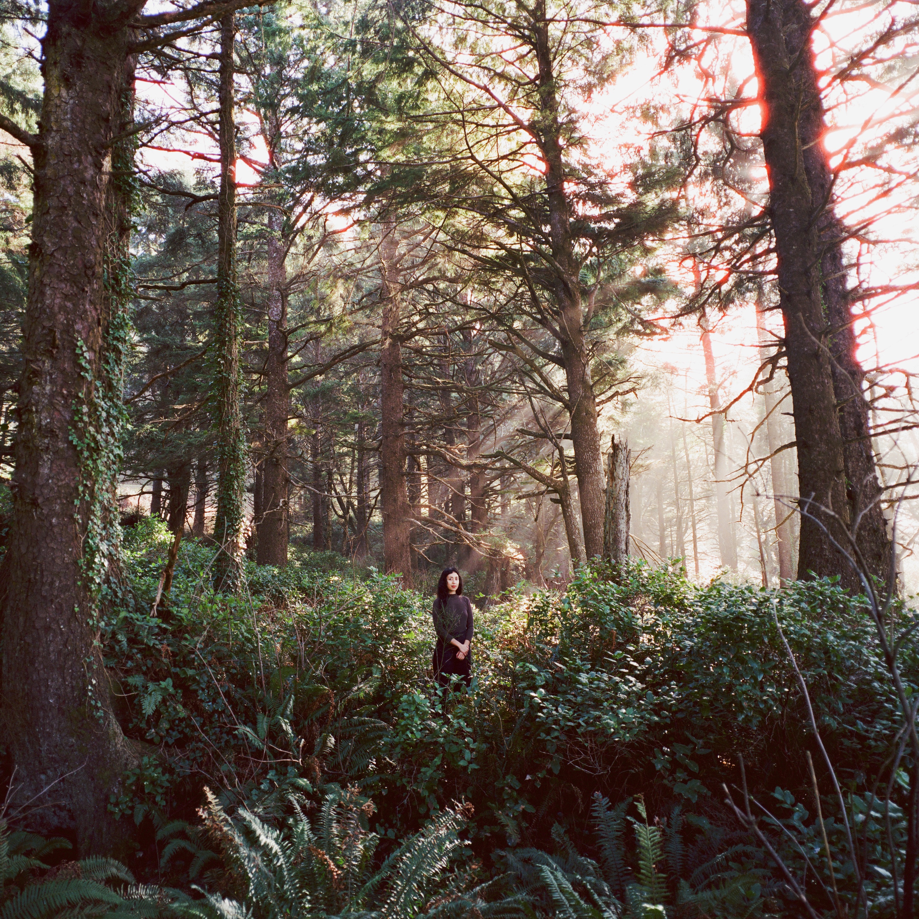 Seed of a Seed - Single