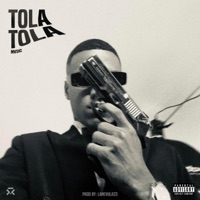 Tola Tola (feat. Moisxs Mvsic) - Single - La Nevula23 Productor