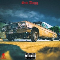 Tha Dogg Pound x Tha OG MT3 x Luniz x BG Knoccout x Gangsta Dresta x K Dee Type Beat - Single - Sav Dogg Shakezpeare