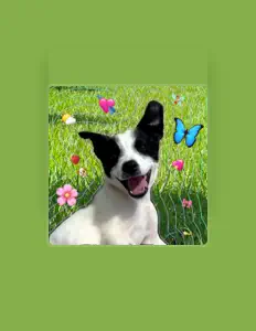 Listen to Чудесик, watch music videos, read bio, see tour dates & more!