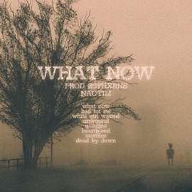 Gasoline Nautili & 29thxrns