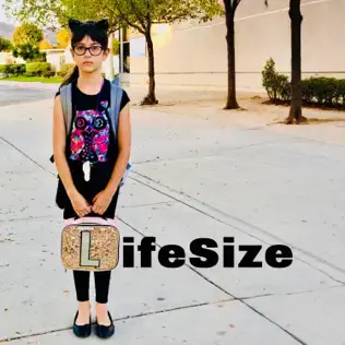 LifeSize Ablum Cover