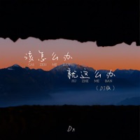 该怎么办就这么办 (DJ豪大大版) - Single - Dx