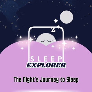 The Night’s Journey to Sleep