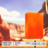 PLASTIK FUNK/TOXIC JOY - Uh Huh