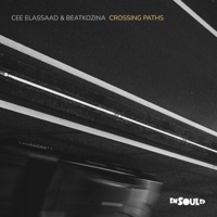 Crossing Paths - Single - Cee ElAssaad & Beatkozina