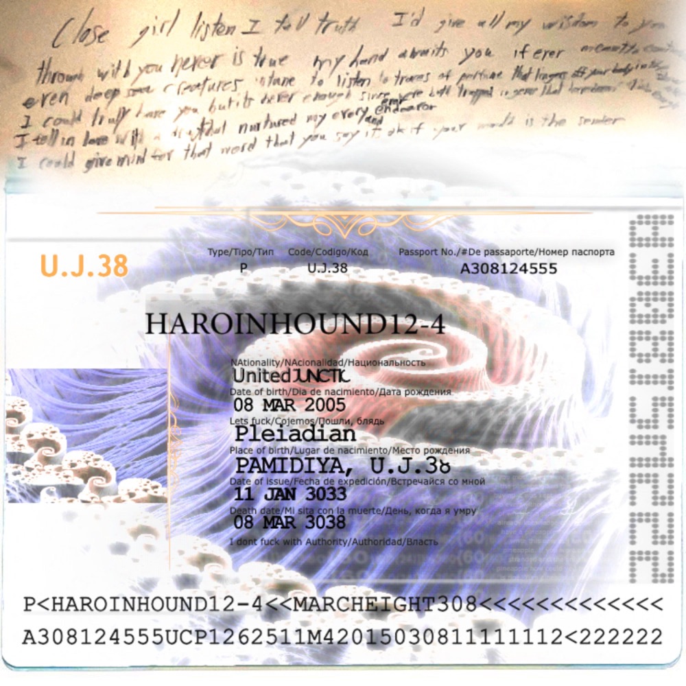 Обложка альбома «☆HH☆12-4(PSYCHEDELICENDEAVORSNEVEREND) - Single» — HAROINHOUND12-4