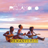 Pelakolo 2025 Remixed & Remastered (feat. Madala Kunene) - Sa Roy & Dr. Feel