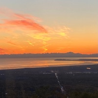 Dayz go by - Single - Lowkey The Aphid