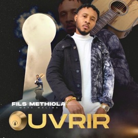 Pinzoli (feat. Patrick beckham) Fils Methiola