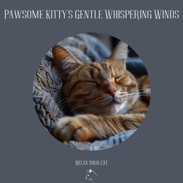 Pawsome Kitty's Gentle Whispering Winds
