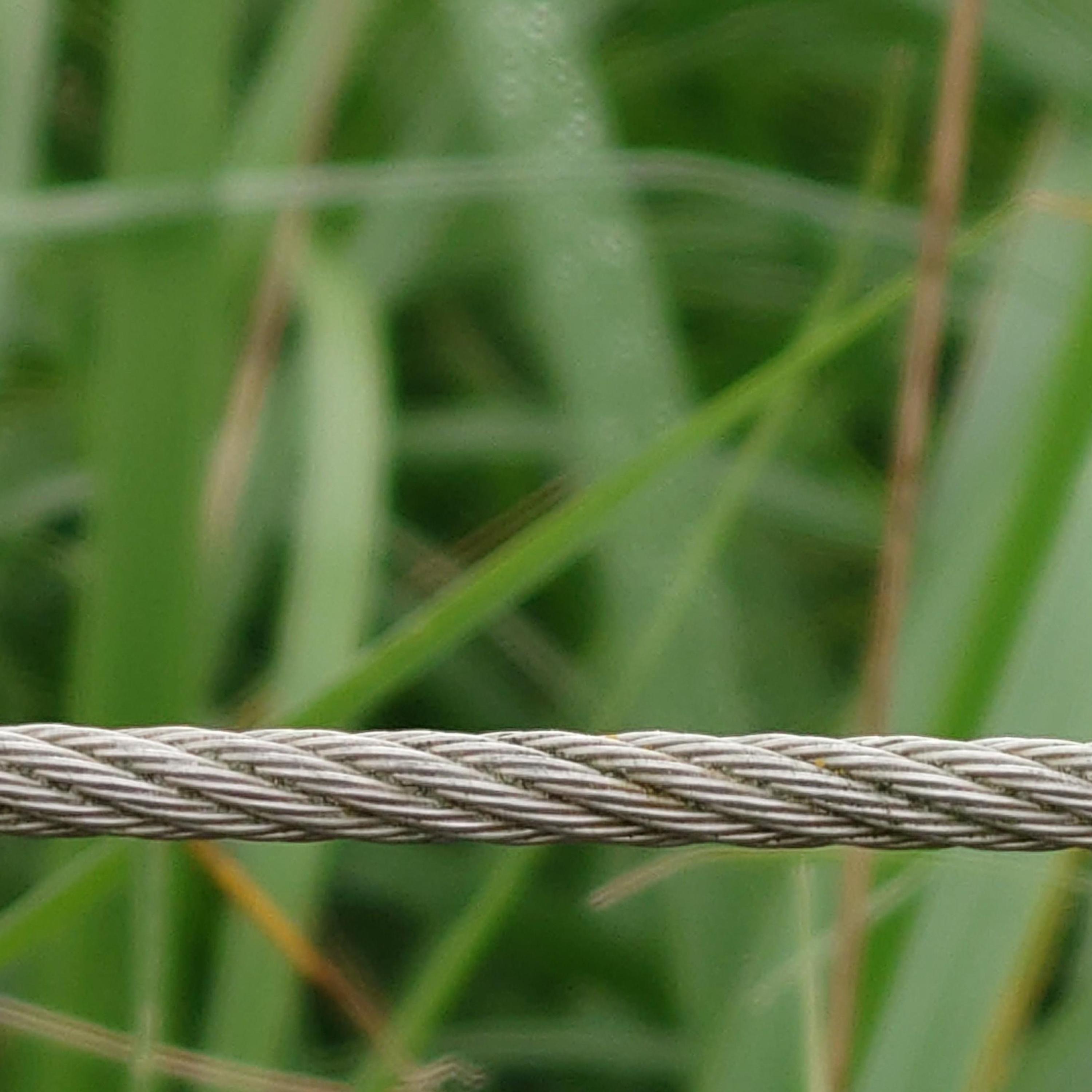 Vicki Abraham - C5.24.05 MARKETING BASICS – ONE STEP AT A TIME - Vicki Abraham