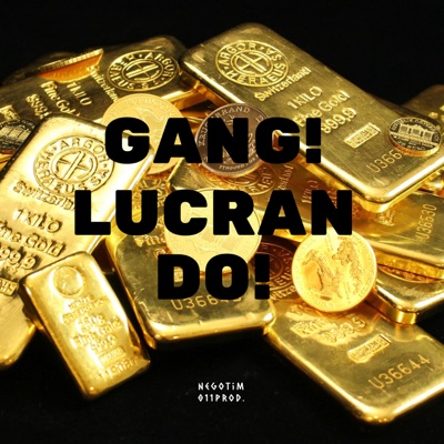 Gang Lucrando (feat. 011prod.) - Single