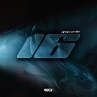 16 - Single - Mogoaille