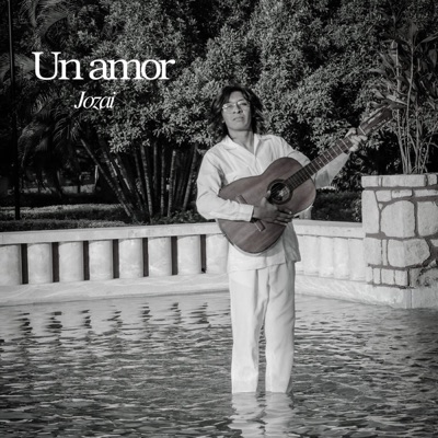 Un Amor - Single