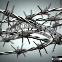 STACHELDRAHT (feat. Fro$t) - Single - albo816 & riccens