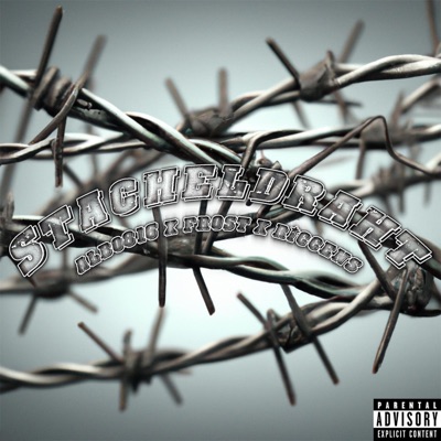 STACHELDRAHT (feat. Fro$t) - Single