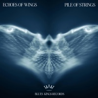 Echoes of Wings (feat. Sensory Meditation) - Single - Pile of Strings