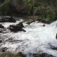 Vive (feat. ARC) - Single - J. Diceman