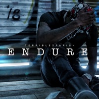 ENDURE - Single - Terrible2Parish