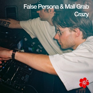 Crazy - Single