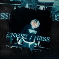 angst / hass - Single - Lytro