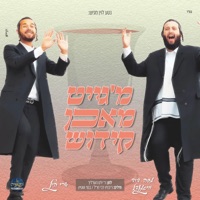 מ'גייט מאכן קידוש - Single - Ari Hill & Moshe David Weissmandl