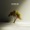 Altero, Anna-Sophia Henry - older me