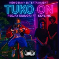 TUKO ON (feat. SKYLINE) - Single - Peejay Mungai