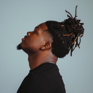 LIPTON - Single
