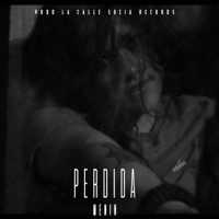PERDIDA - Single - Menin ec