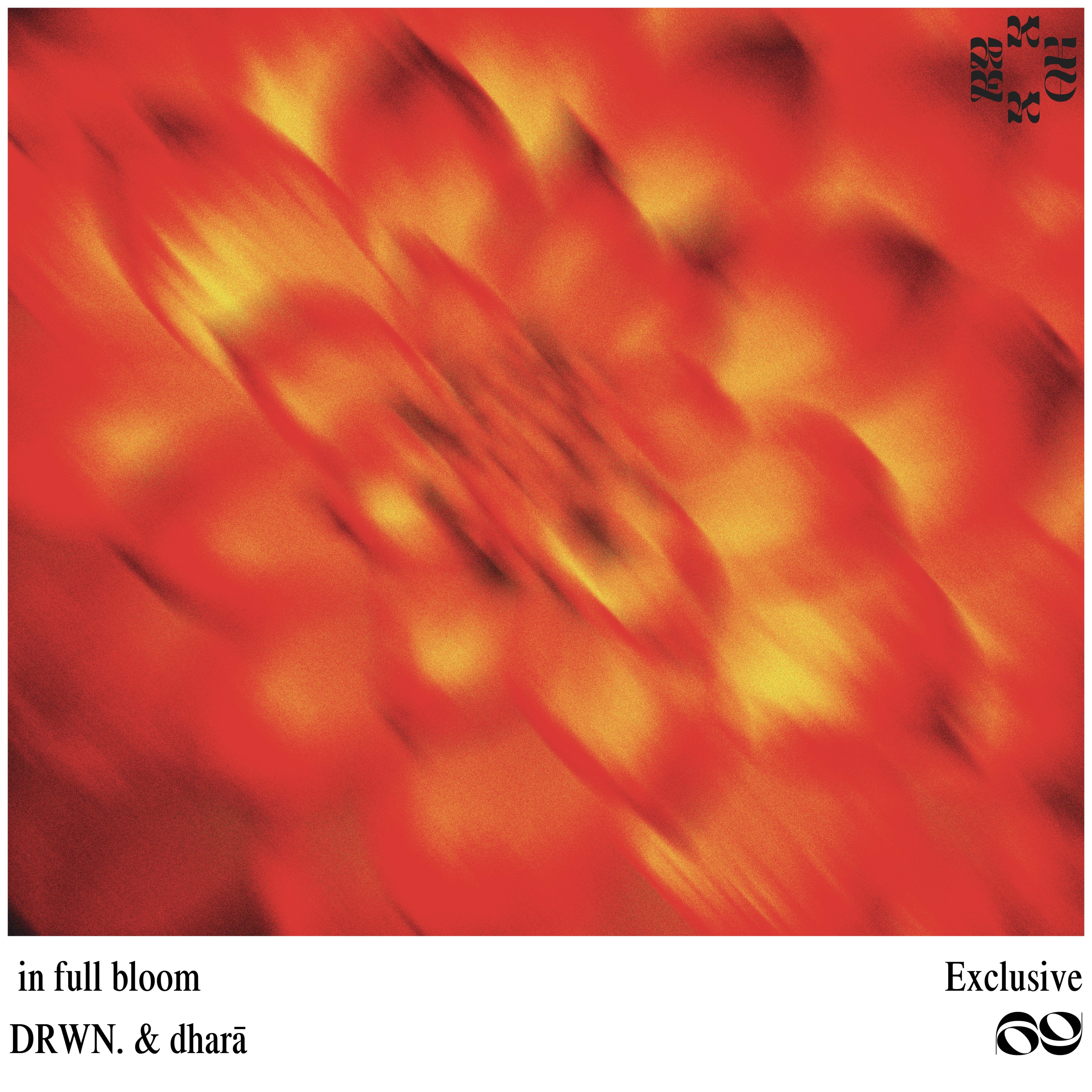 in full bloom - Single