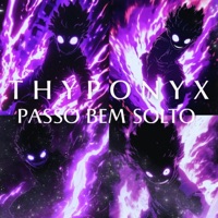 PASSO BEM SOLTO (SLOWED) - Single - THYPONYX
