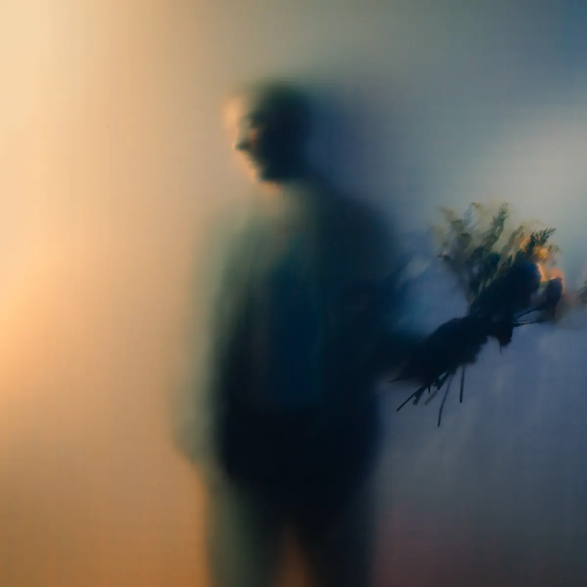 Ben Böhmer - Bloom (2024) [iTunes Plus AAC M4A]-新房子