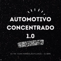 Automotivo Concentrado 1.0 (feat. MC Larisson & Kalovi) - Single - DJ BRN, Funk Mandelão Fluxos & DJ 7W