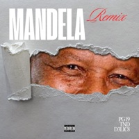 MANDELA (feat. TND & D3LIC8) [Remix] - Single - PG19