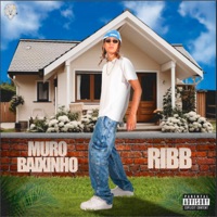 Muro Baixinho - Single - Ribb