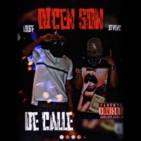 dicen son de calle (feat. LoSt) - Single - StvenC