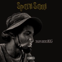 spani sami - Single - Wayzee405