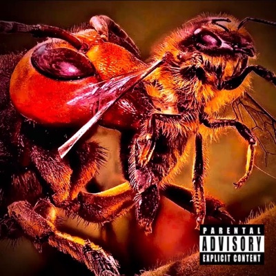 Yellowjacket (feat. Tonee) - Single