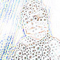 Repressed Memories - Single - Revin