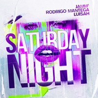 SATURDAY NIGHT (feat. Luisah) - Single - JAMM’ & Rodrigo Mantega