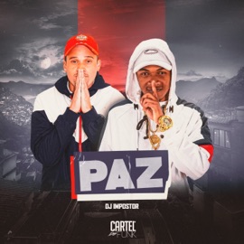 Paz MC Alan LD & MC Kauã da Oeste