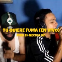Tu Quiere Fuma (En vivo) - Single - Piru el Necioo