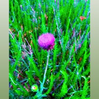 Patient (Interlude) - Single - Kai Billz$