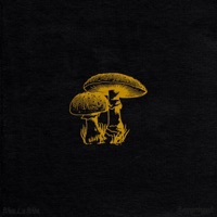 Viva La Vida - Single - Soppgirobygget