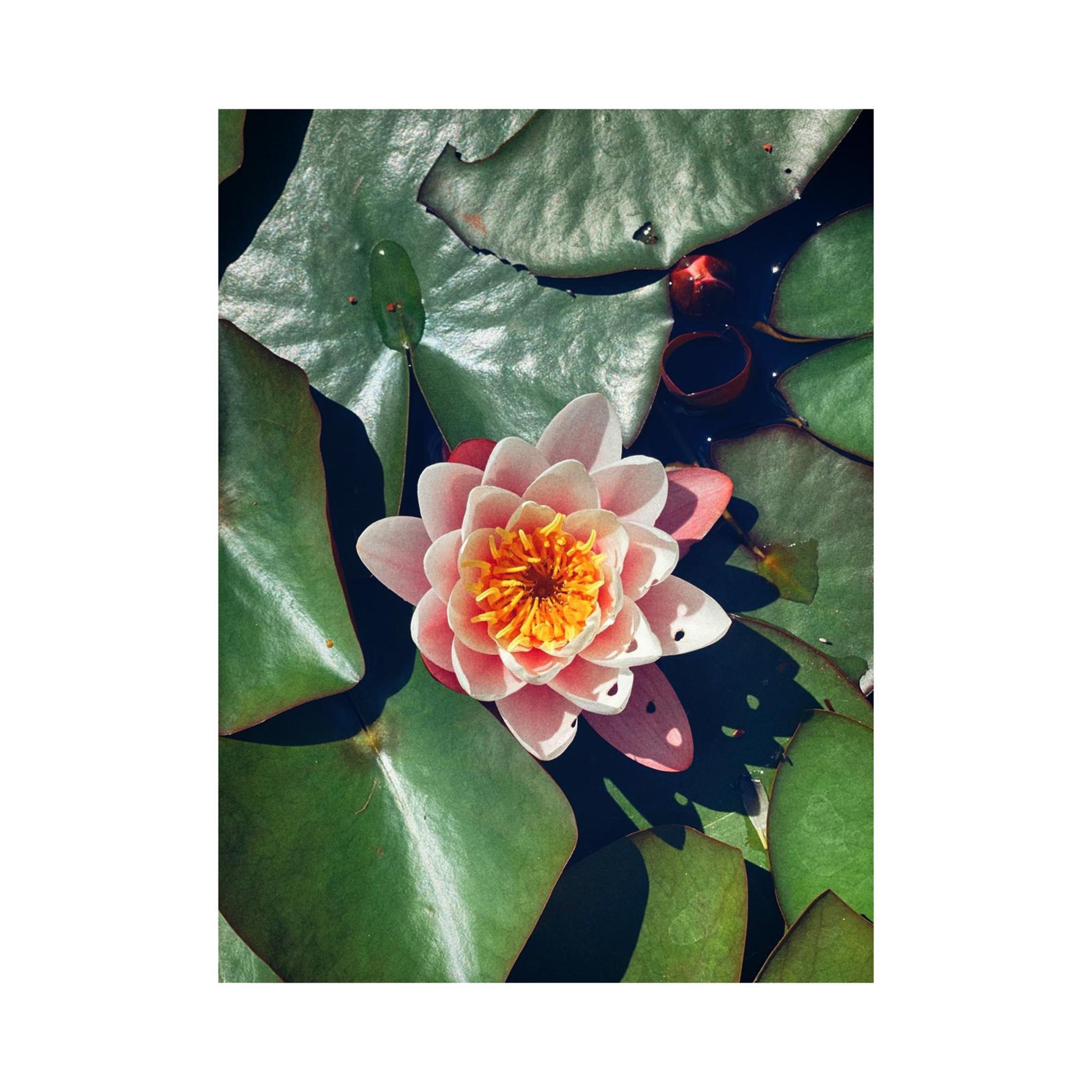 when my eyes lose color - Single