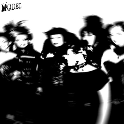 model - Single