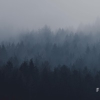 Cricket - Single - Frey